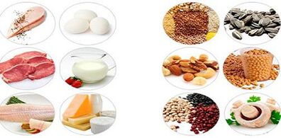 Eating protein products for weight loss